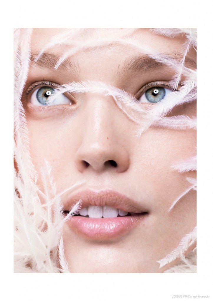 Vogue-Paris-February-2015-Emily-DiDonato-Cuneyt-Akeroglu- 1