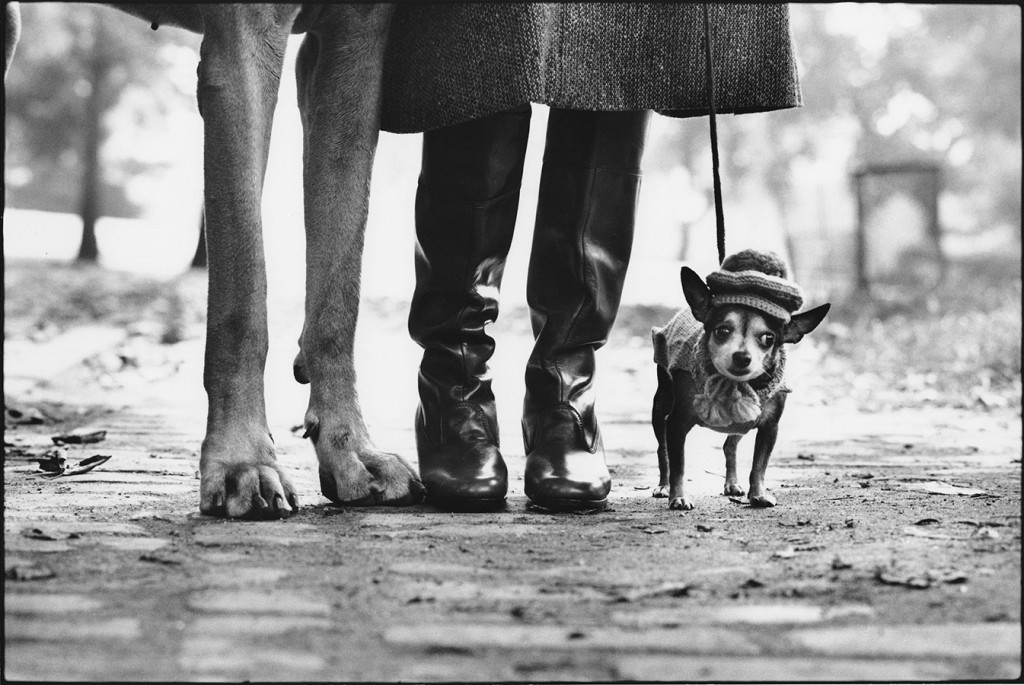 Elliot-Erwitt-Photography-Previiew-5