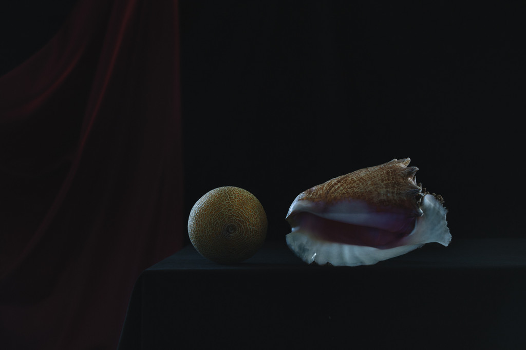 melonconch2k melonconch2k
