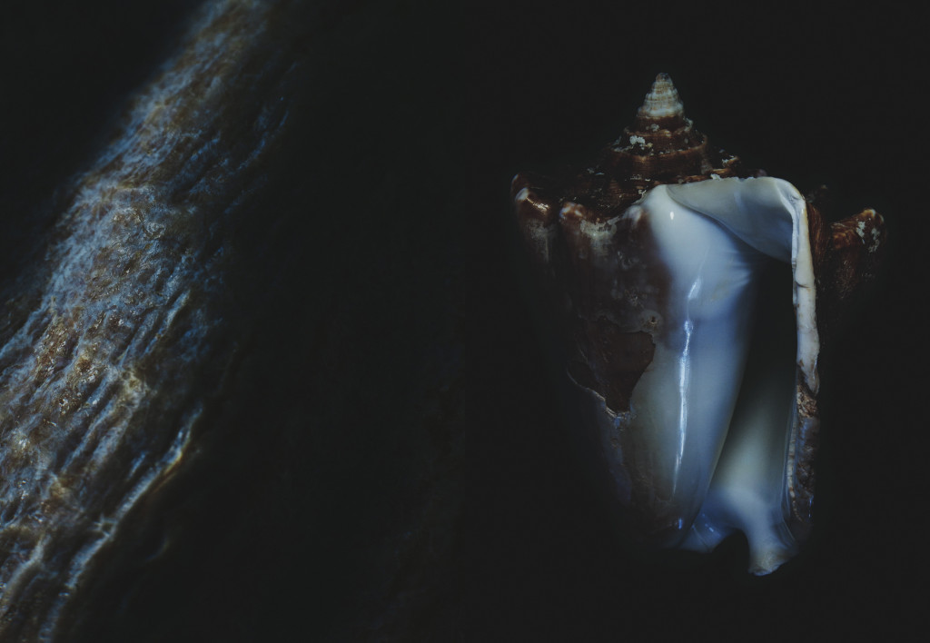conch3 conch3