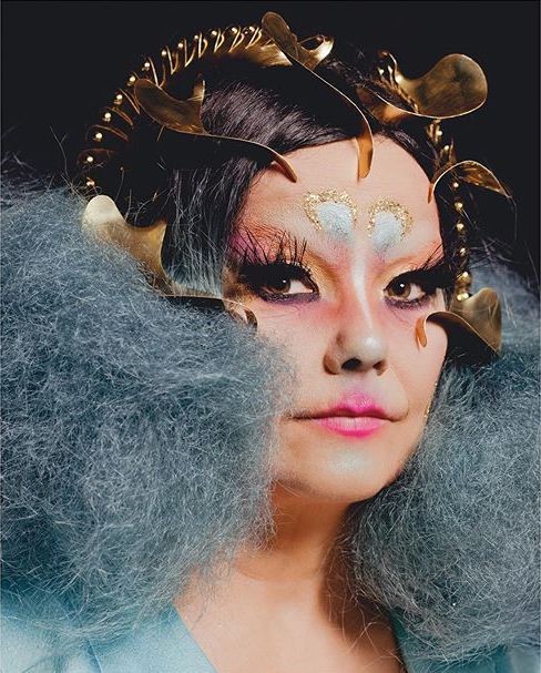 Ryan-Pfluger-Björk-New-York-Times-Art-May-2019-1