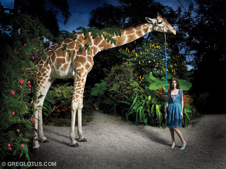 03_Greg_Lotus_Giraffe