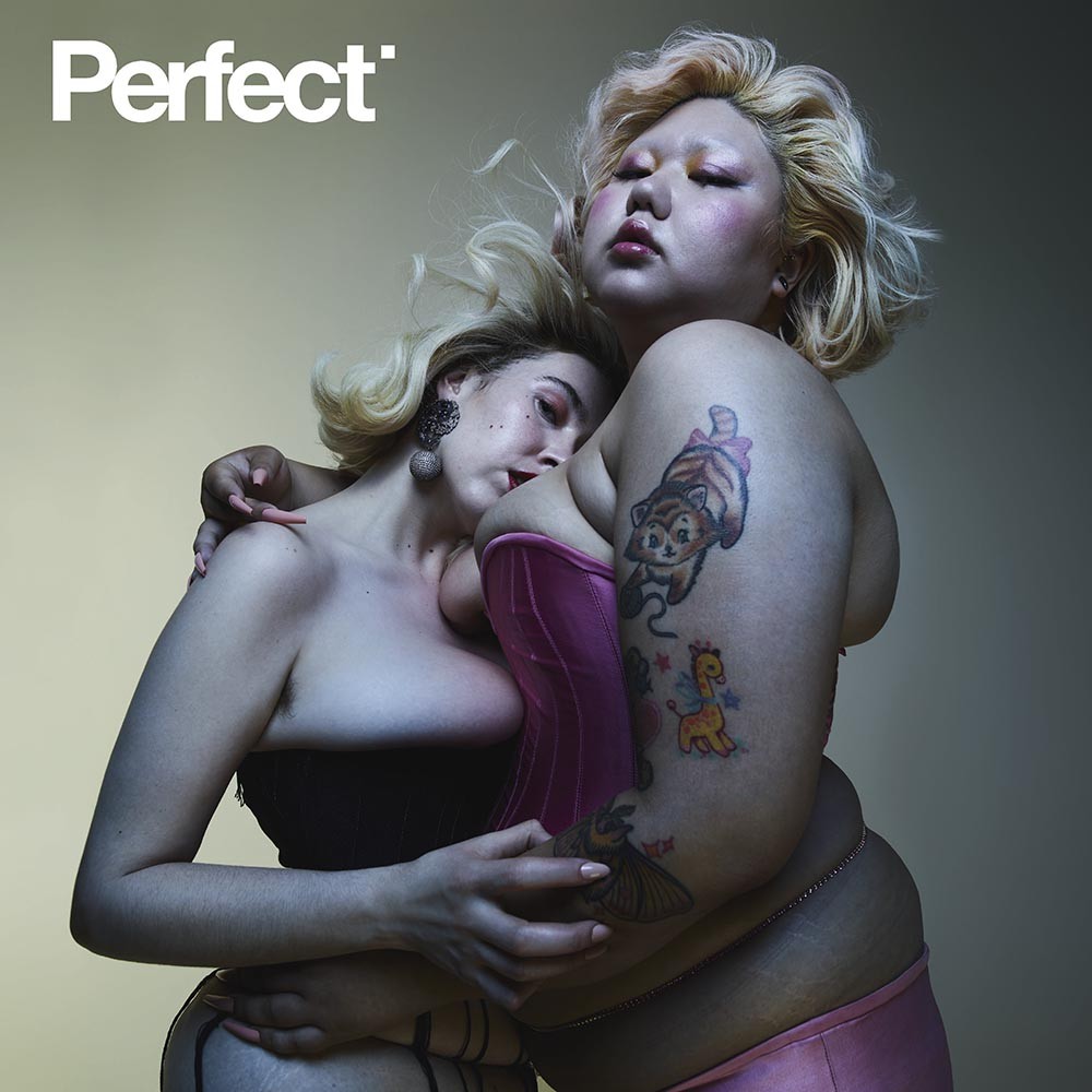 perfect-magazine-michaela-stark-photography-by-solve-sundsbo-styled-by-katie-grand-cover