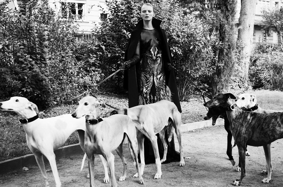The-Ladys-Greyhounds-El-Pais-Sergi-Pons-3